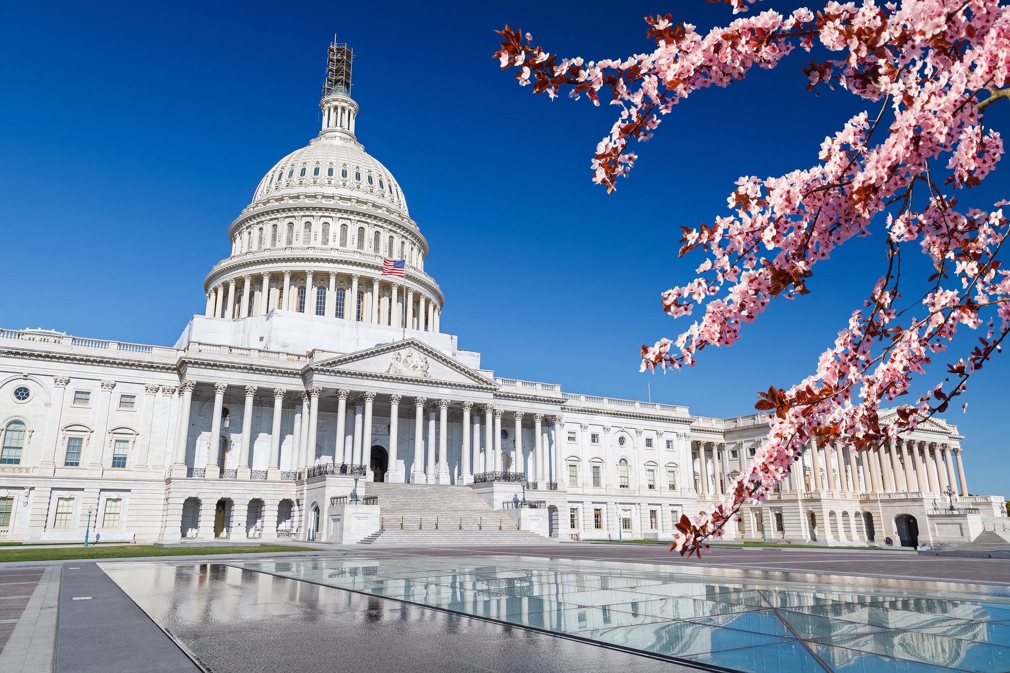 iStock-us-capitol-advocacy-spring