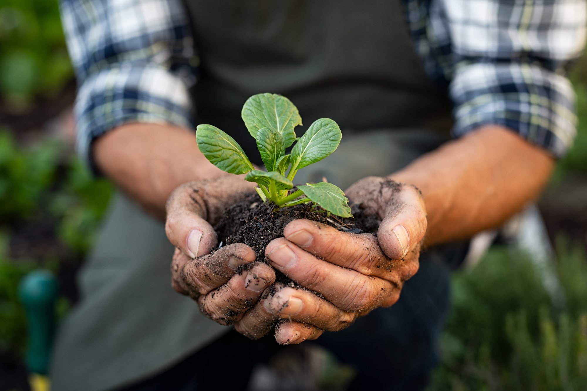 shutterstock_farmer_hands